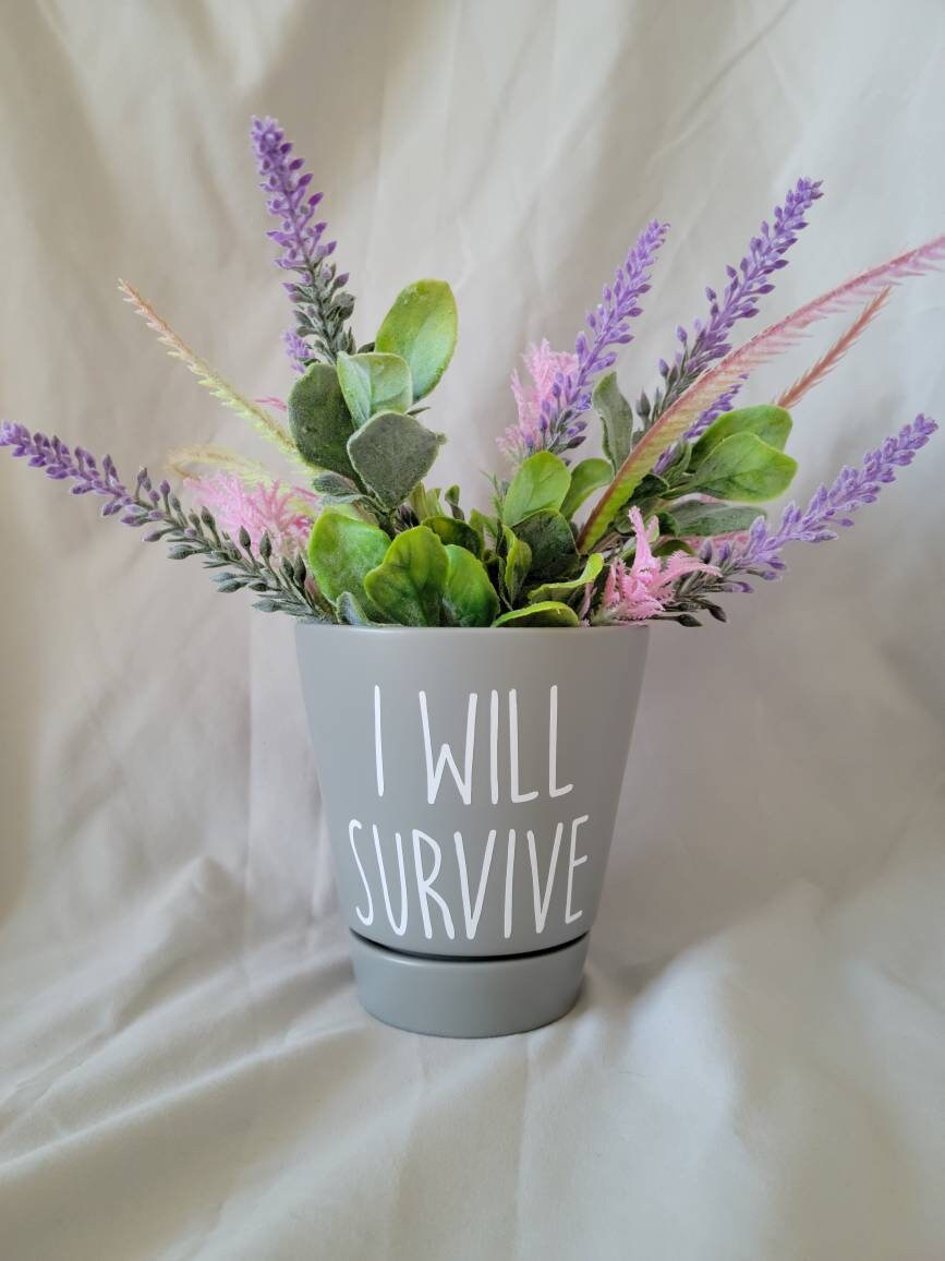 Flower Pot//Funny Flower Pot Sayings//Funny Planter//Funny Etsy