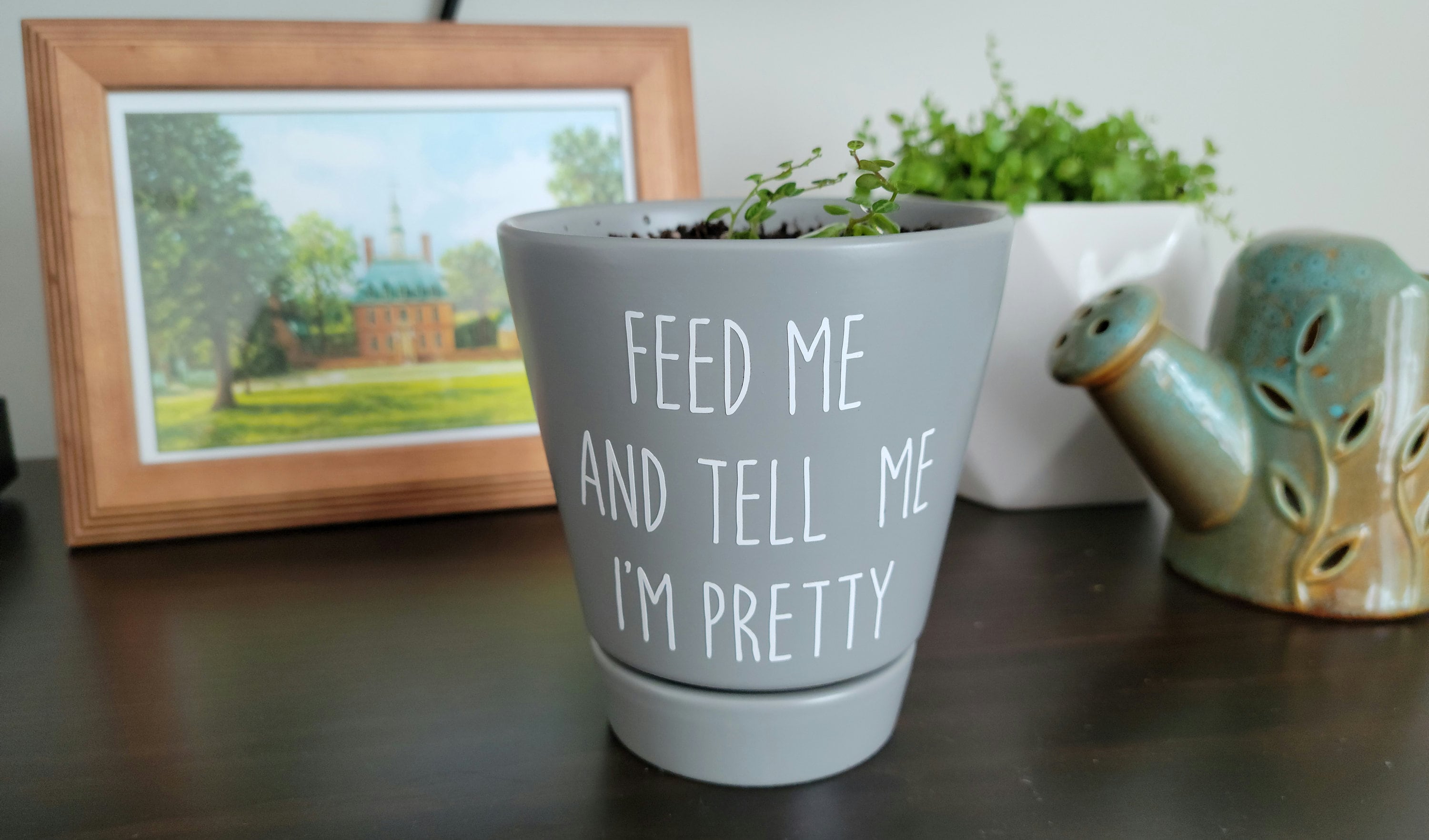 Flower Pot//Funny Flower Pot Sayings//Funny Planter//Funny Etsy