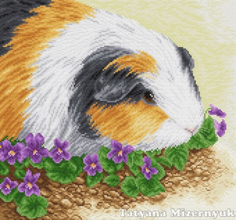 Схема морской свинки. Вышивка крестом морская Свинка. Морская Свинка вышивка крестом схемы. Вышивка крестиком морская Свинка. Набор для вышивания морская Свинка.