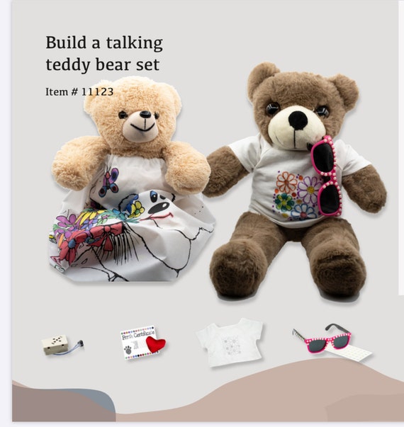 Build a Bear Kit With Voice Recorder and a Accessories Etsy