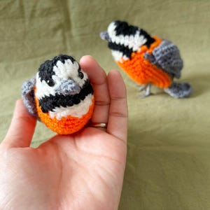 Varied tit amigurumi pattern / bird crochet instructions charts diagrams image 2