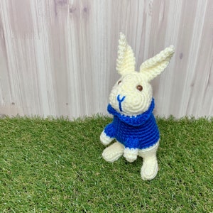 May include: A crocheted white bunny wearing a blue sweater. The bunny is sitting on a green grassy surface.