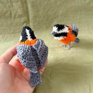 Varied tit amigurumi pattern / bird crochet instructions charts diagrams image 3