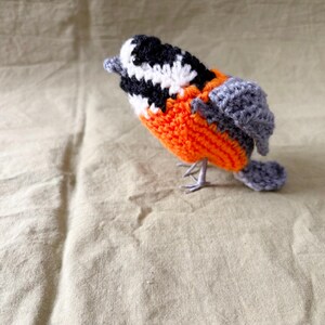 Varied tit amigurumi pattern / bird crochet instructions charts diagrams image 5