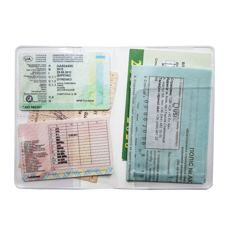 Galaxy Passport Cover. Passport Organizer. Organizer for Storing