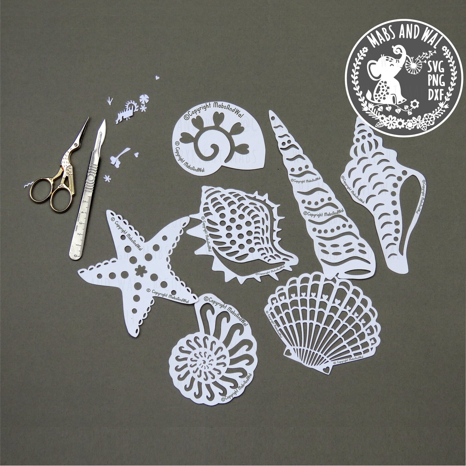 Shell Dxf Shells Bundle SVG PNG DXF Digital Cutting File/decorative Shells Svg ...