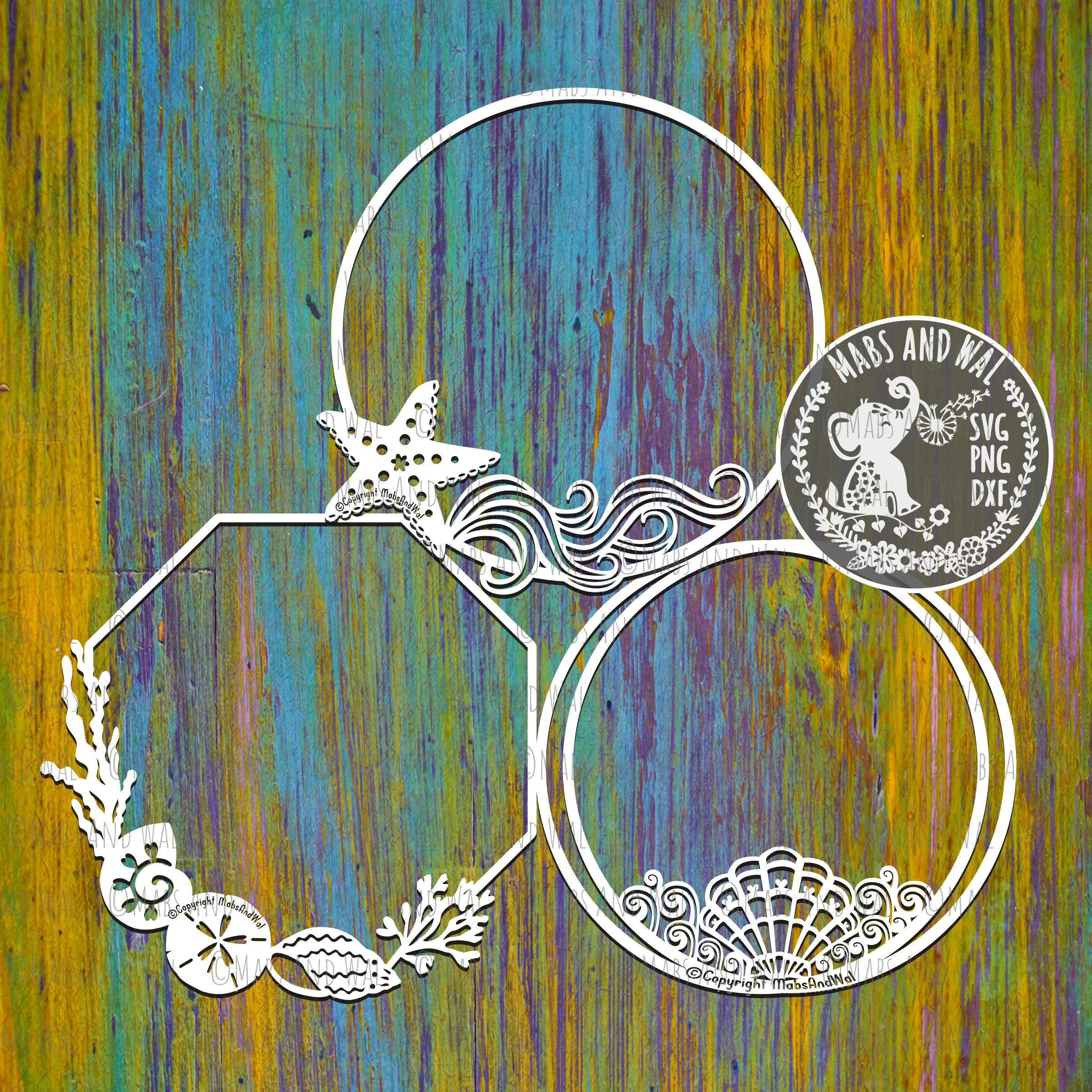 Shell frames round SVG PNG DXF digital cutting file/shell frame/beach ...