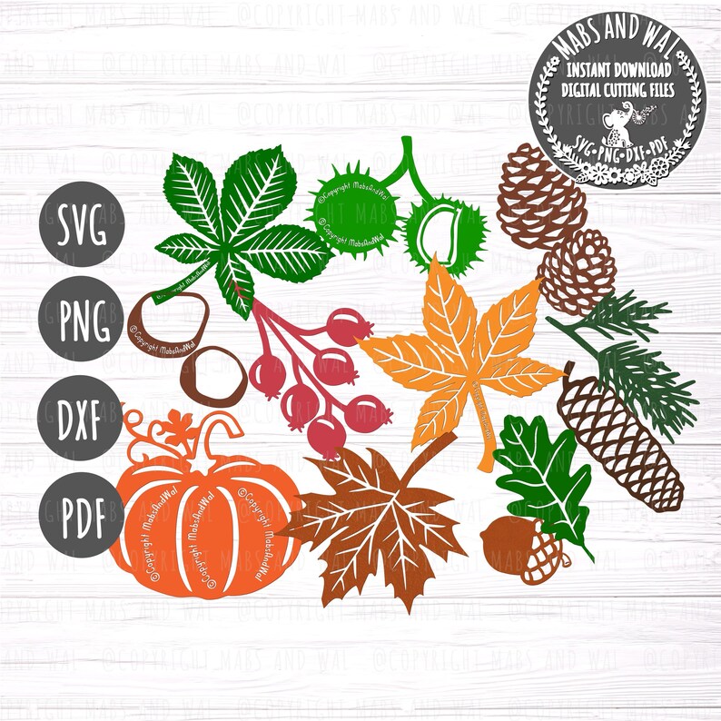 Autumn Fall Foliage SVG PNG DXF Pdf Digital Cutting File/fall Svg ...