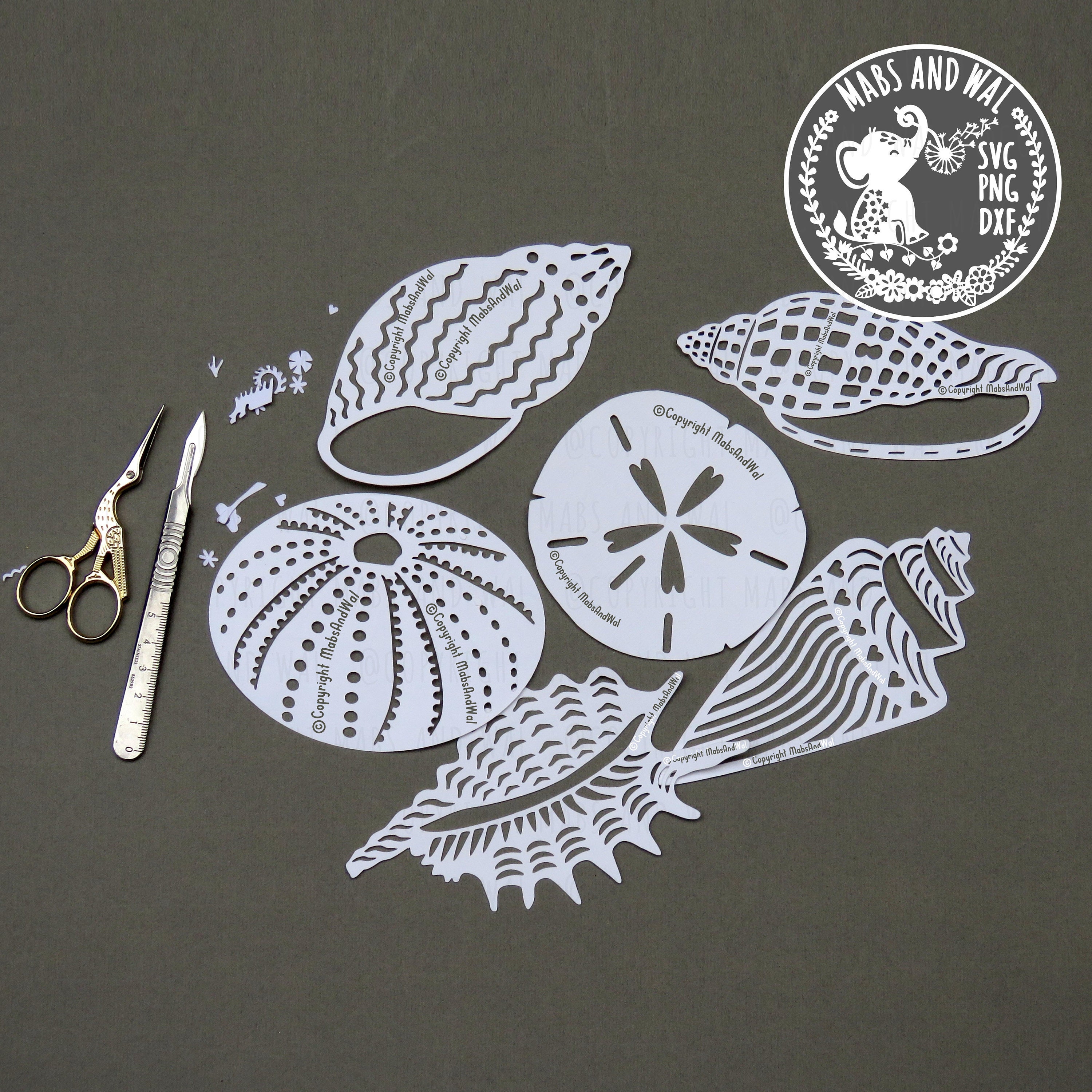 Shells Bundle SVG PNG DXF Digital Cutting File/decorative Shells Svg ...