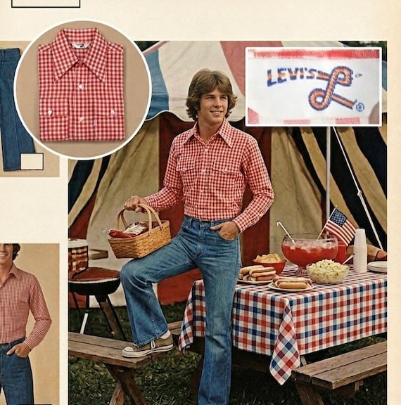 Vintage 70s Levis Mens Gingham Dagger Collar Button up Picnic