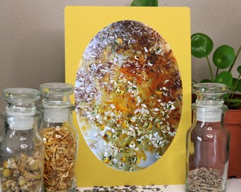 Herbal Mix Art Print - Oval Dried Flowers Image Wall Art Framed with Yellow - 5x7"