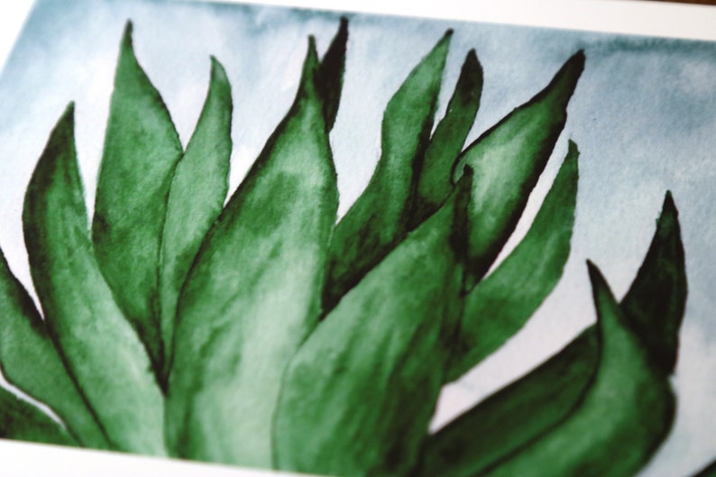 Snake Plant Watercolor Art Print Indoor Plant Wall Art 5x7 image 5