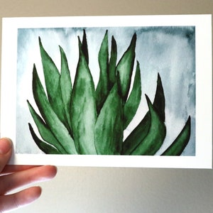 Snake Plant Watercolor Art Print Indoor Plant Wall Art 5x7 image 1