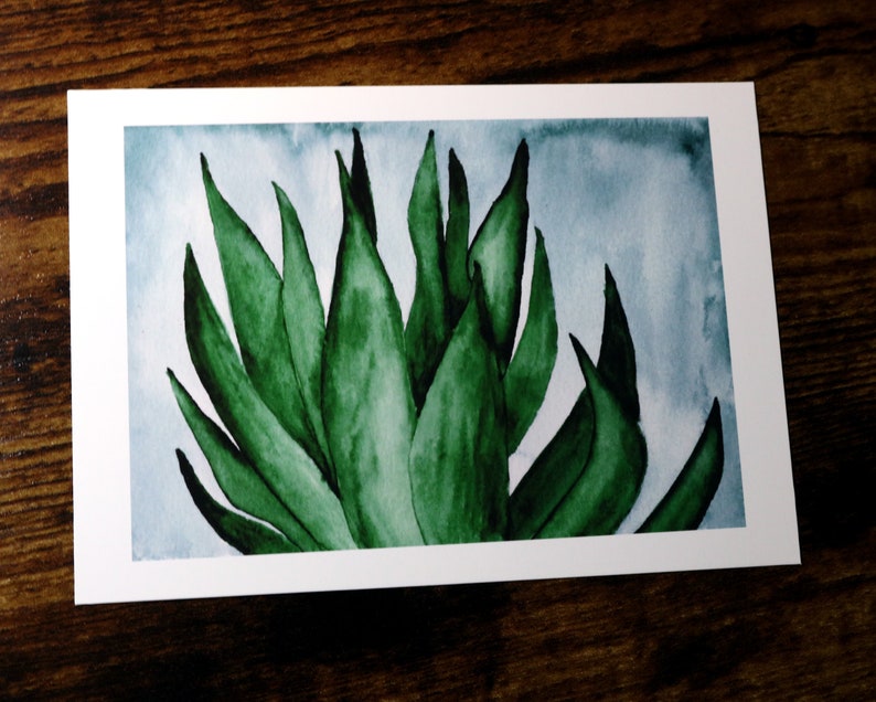 Snake Plant Watercolor Art Print Indoor Plant Wall Art 5x7 No Bleeds/SquaredOff