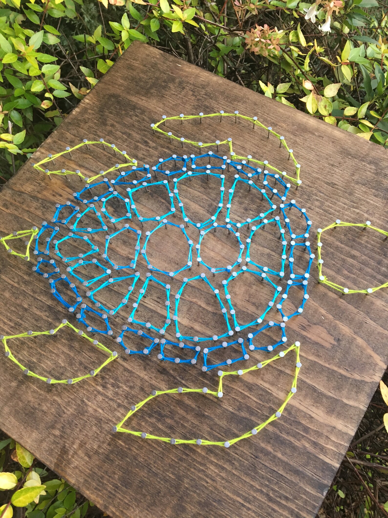sea turtle home decor