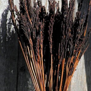 May include: A bundle of dried dark brown, textured, seed-like stalks with smooth, light brown stems arranged in a cylindrical ceramic vase featuring horizontal bands of dark red, orange, and white colors at the base of the plant arrangement.