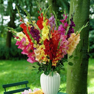 May include: A bouquet of colorful gladiolus flowers in a white vase. The flowers are arranged in a variety of colors, including pink, red, yellow, orange, and purple.