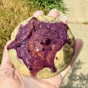 Blueberry Cheesecake Stuffed Cookies