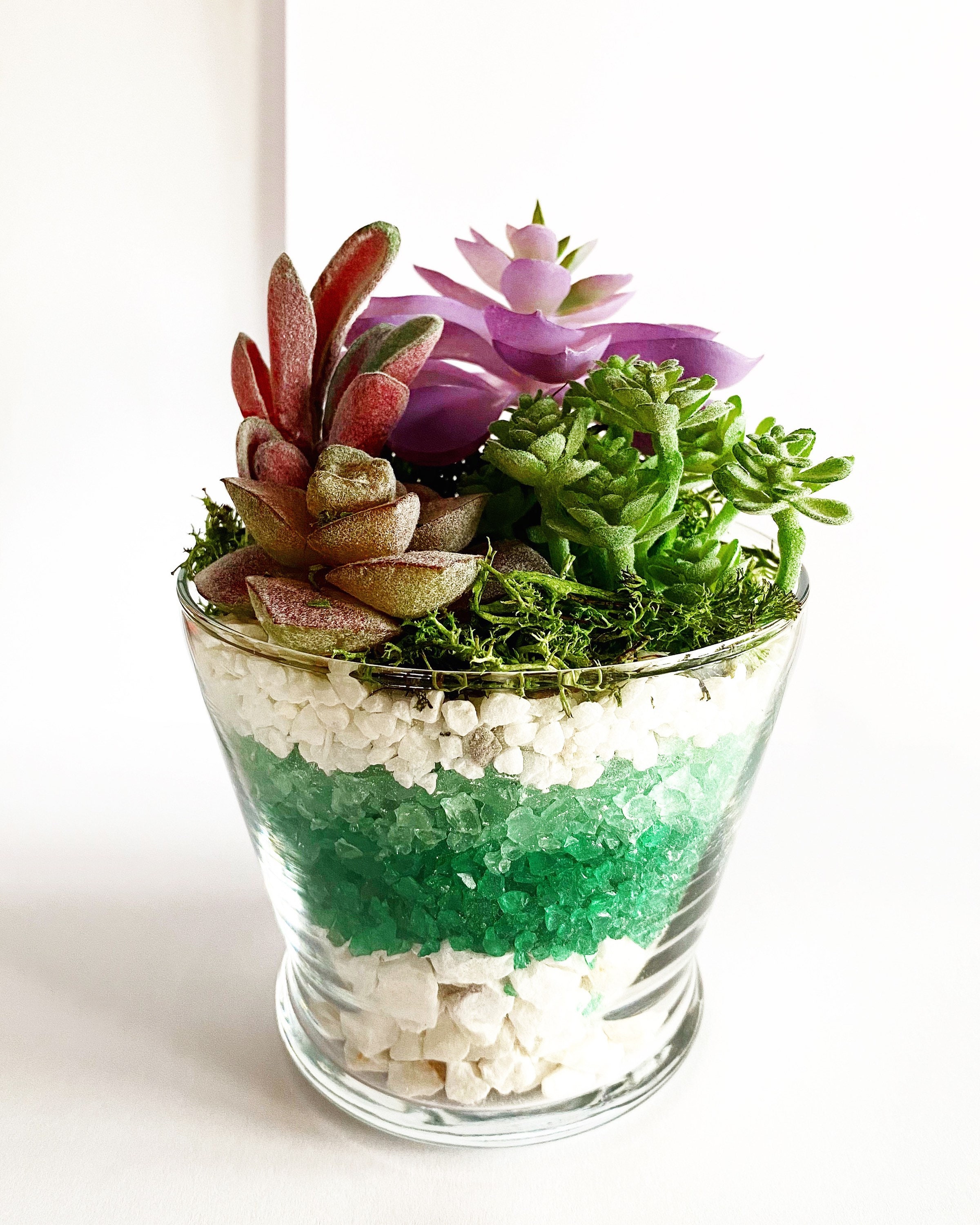 Succulent Garden/terrarium Etsy
