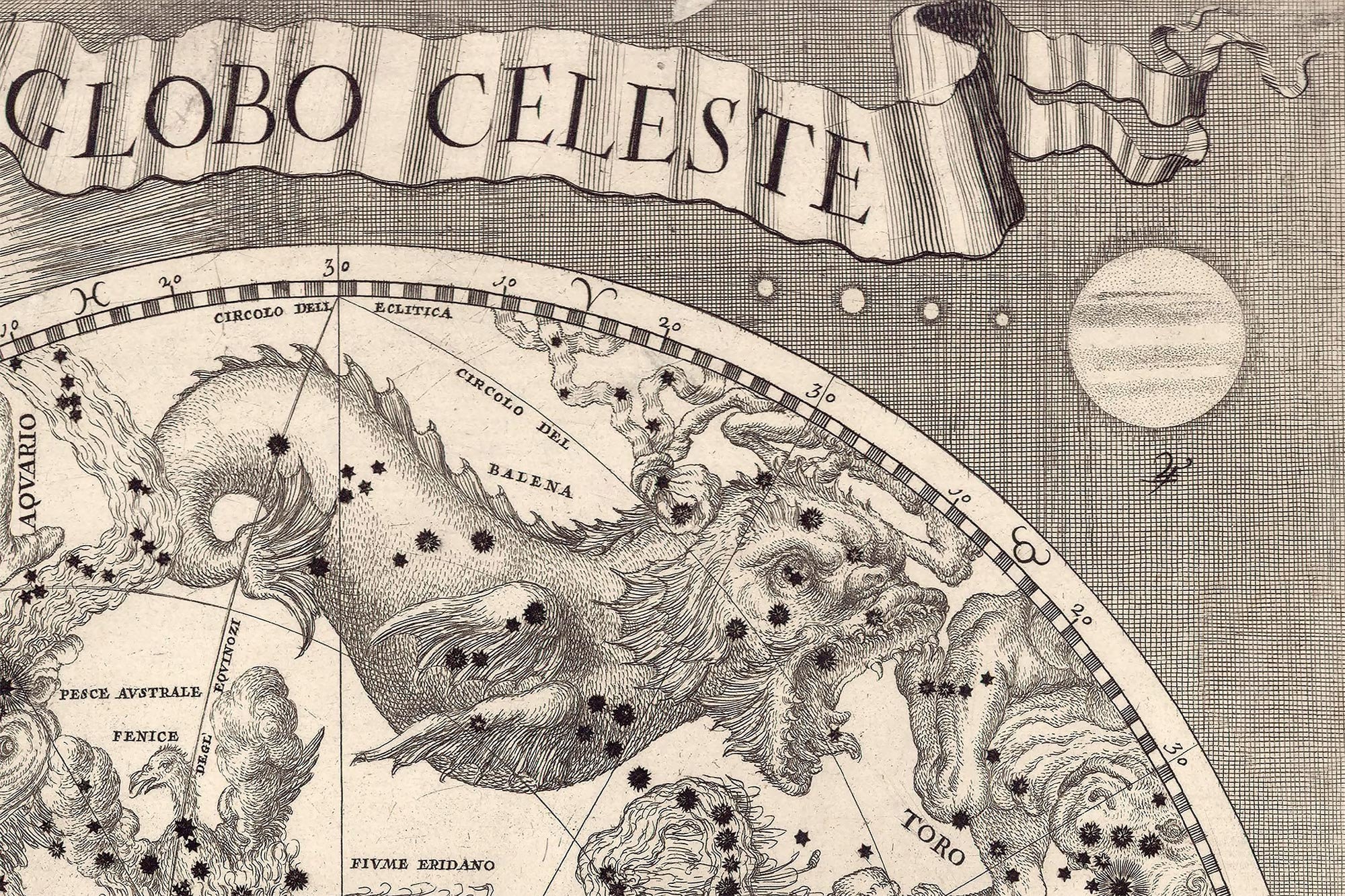 Southern hemisphere star chart, artwork - Stock Image - C021