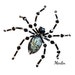 Avatar de DreamingSpiders