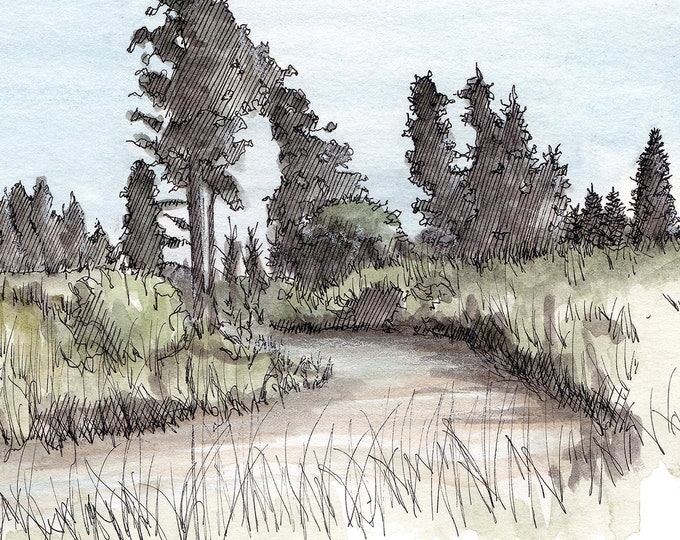 SMALL CREEK in McCall, Idaho at Jug Mountain Ranch - Landscape, Stream, Drawing, Ink, Watercolor, Painting, Sketchbook, Art, Drawn There