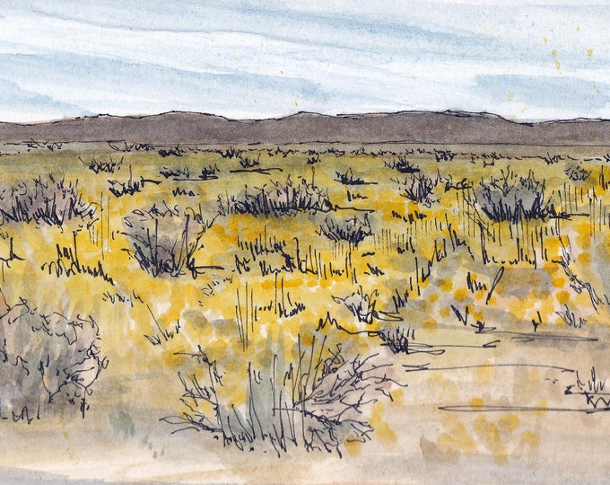 DESERT WILDFLOWERS - Joshua Tree, National Park, Landscape, Superbloom, Ink & Watercolor, Painting, Drawing, Sketchbook, Drawn There