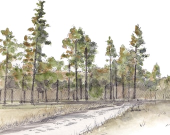 GILA NATIONAL FOREST - Ponderosa Pine, Dirt Road, Plein Air Landscape Watercolor Painting, Nature Art Wall Print, New Mexico, Drawn There