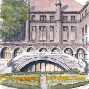 MUSEUM of NATURAL HISTORY - New York City Watercolor Architecture Art, Manhattan Art Watercolor Painting