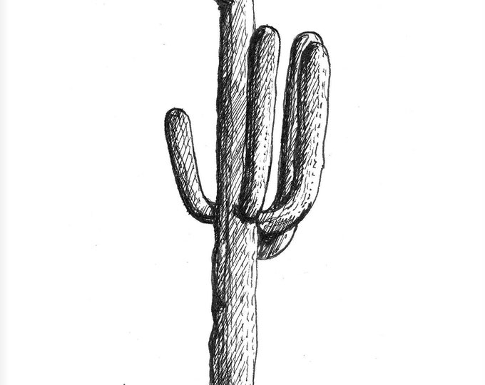 CACTUS INK SKETCH - Desert Plants, Nature, Pen and Ink Plein Air Landscape Drawing, Sketchbook Art, Giclee Print, Drawn There