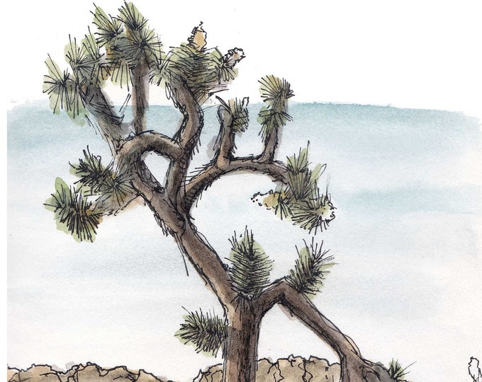 JOSHUA TREE - National Park, Landscape, Desert Life, Nature, California, Ink & Watercolor, Painting, Drawing, Sketchbook, Drawn There