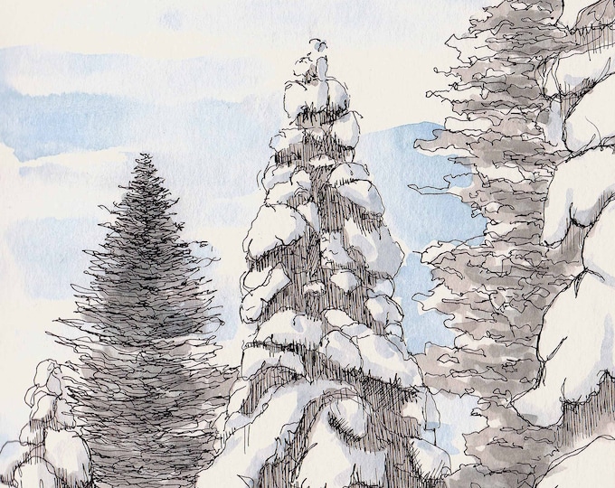 SNOW COVERED TREE near Lake Tahoe, California - Ink and Watercolor, Winter, Painting, Drawing, Art, Sktech, Drawn There