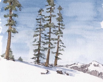 SNOWY TREES at Squaw Valley in Lake Tahoe - Ink and Watercolor, Drawing, Painting, Art Print, Sketchbook, Skiing, Snowboarding, Drawn There