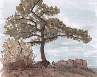 LOST MINE TRAIL in Big Bend National Park, Texas - Tree, Hiking, Mountains, Landscape, Drawing, Painting, Watercolor, Painting, Drawn There