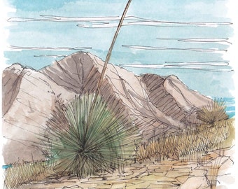 YUCCA PLANT - El Paso, Texas, Desert Landscape, Drawing, Painting, Pen and Ink, Watercolor, Sketchbook, Mountains, Art, Drawn There