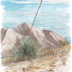 YUCCA PLANT - El Paso, Texas, Desert Landscape, Drawing, Painting, Pen and Ink, Watercolor, Sketchbook, Mountains, Art, Drawn There
