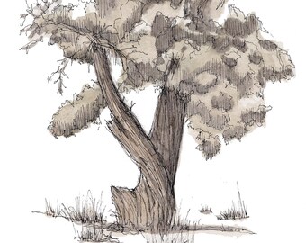 JUNIPER TREE TWISTED - Vortex, Utah, Snow, Desert Life, Nature, Art, Watercolor, Painting, Pen and Ink, Drawing, Sketchbook, Drawn There