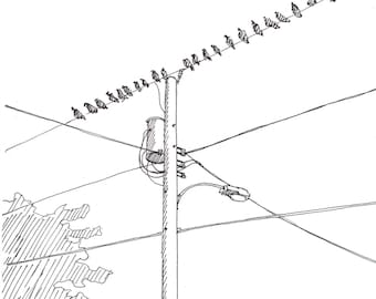 BIRDS ON A WIRE - Telephone Pole, Power Line, Nature, Songbirds, Pen and Ink, Drawing, Sketchbook, Drawn There