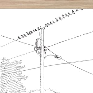 May include: A black and white line drawing of a street scene with a power pole, power lines, a car, a house, and trees.