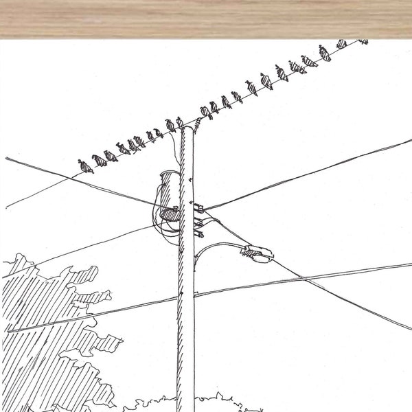 Birds on Power Line Etsy