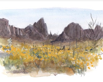 KOFA QUEEN CANYON - Fiori selvatici del Kofa Wildlife Refuge, Yuma, Arizona, Pittura di paesaggio desertico ad acquerello, Stampa artistica da parete, Disegnata lì