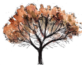 TREE with FALL COLORS - Leaves, Autumn, Brown, Red, Orange, Nature, Seasons, Drawing, Ink and Watercolor, Painting, Art, Print, Drawn There