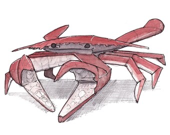 MARYLAND CRAB - Sea Food, Animal, Baltimore, Old Bay, Chesapeake Bay, Ink and Watercolor Painting, Sketchbook, Art Print, Drawn There