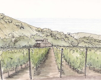 GRASSINI WINERY VINEYARD - California, Wine Country, Barn, Drawing, Pen & Ink, Watercolor, Painting, Landscape, Sketchbook, Art, Drawn There