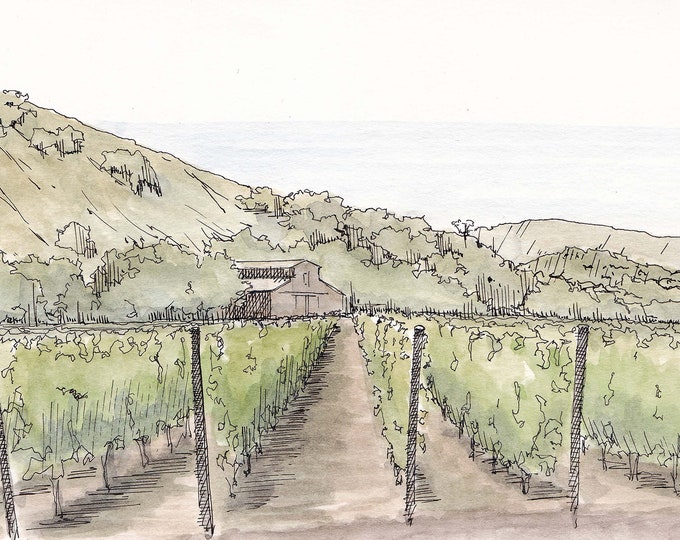 GRASSINI WINERY VINEYARD - California, Wine Country, Barn, Drawing, Pen & Ink, Watercolor, Painting, Landscape, Sketchbook, Art, Drawn There