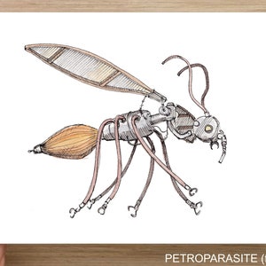 May include: A detailed line drawing of a steampunk insect with metallic body parts and a large wing. The insect is drawn in shades of brown, gray, and pink.