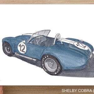 SHELBY COBRA 456 - Sports Car, Classic Car, Vintage, Drawing, Watercolor Painting, Art Print, Drawn There