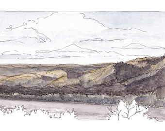 SANTA CRUZ MOUNTAINS - Windy Hill Open Space Preserve, California, Plein Air Landscape Watercolor Painting, Giclee Art Print, Drawn There