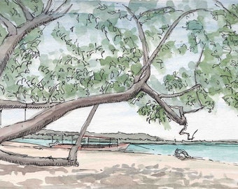 Caribbean