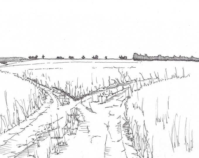 FORK in the ROAD - Dirt Road, Meadow, Path, Wander, Travel, Hiking, Pen and Ink, Drawing, Sketchbook, Landscape, Wyoming, Art, Drawn There